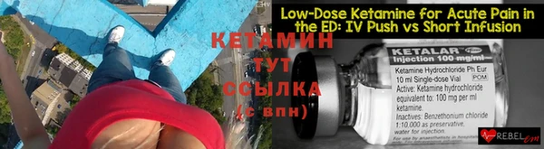 крисы Дмитриев