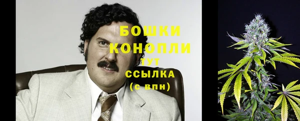 крисы Дмитриев