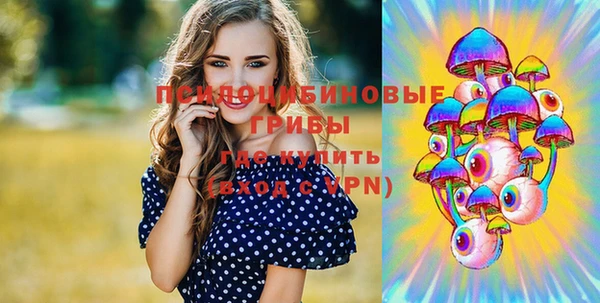 тгк Дмитровск