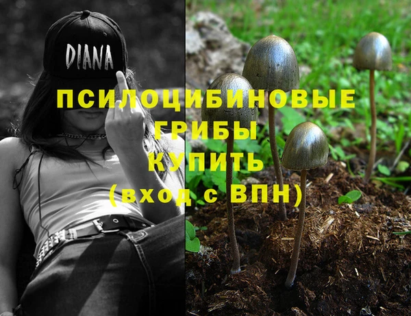 ALPHA PVP Дмитров
