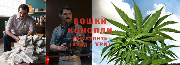 тгк Дмитровск