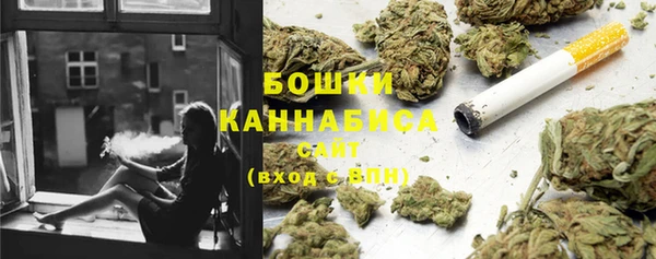 крисы Дмитриев