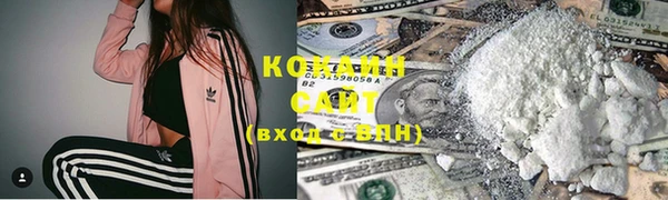 тгк Дмитровск